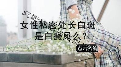 女性私密处长白斑是白癜风吗？